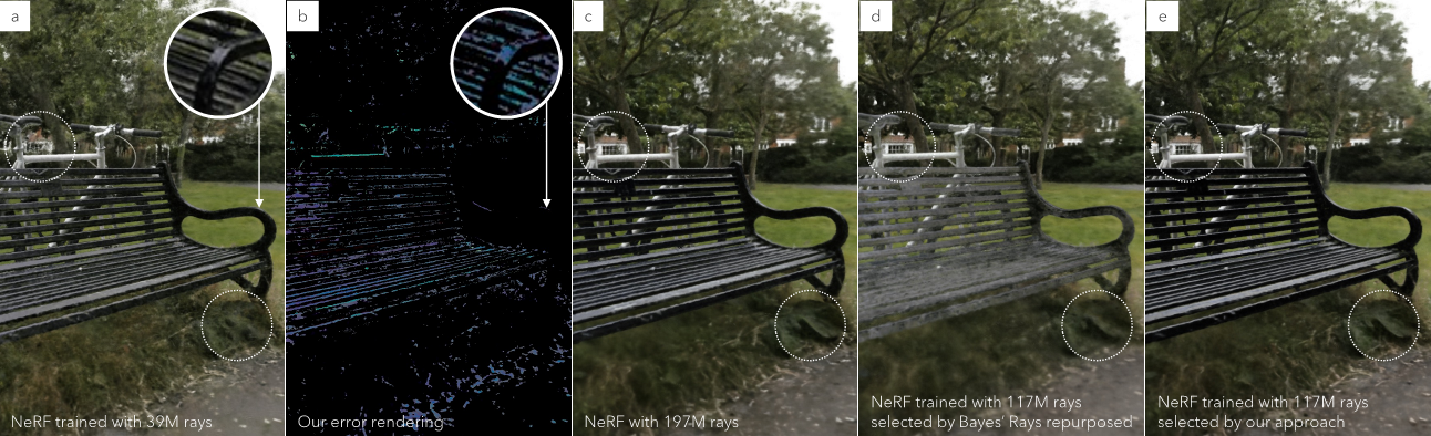 NEF: Neural Error Fields for Follow-up Training with Fewer Rays